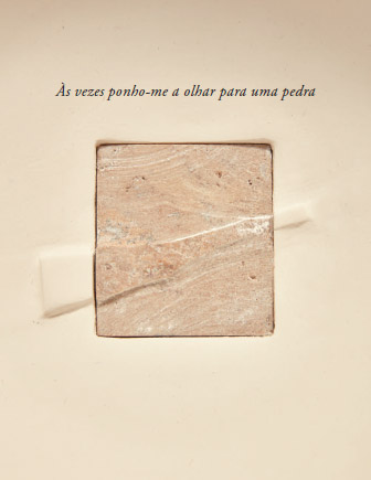 2023 catalogo pavao cutileiro